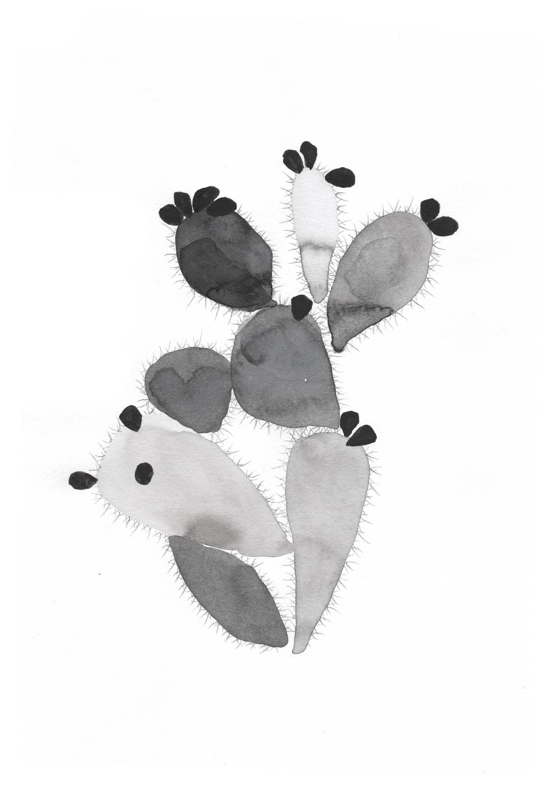 검은 식물_가시배